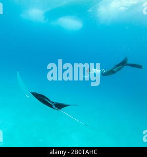 Vista subacquea del gigante hovering oceanic manta ray, Manta Birostris , e uomo free diving in blu oceano. La visione di mondo sottomarino durante l avventura Foto Stock