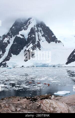 Pinguini Gentoo nidificano sull'isola di Peterman vicino al canale di Lemaire, Graham Land, Antartide con turisti provenienti da una nave da crociera di spedizione kayak in mare Foto Stock