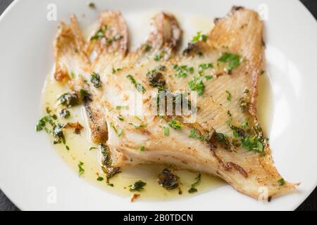 Un'ala di raggio da un raggio del torace, Raja clavata, che è stata cucinata in un modo tradizionale. È stato fritto in una padella di rame con olio d'oliva, burro Foto Stock