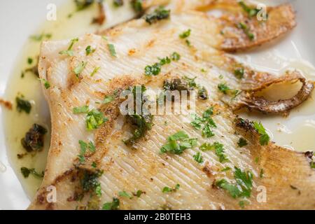 Un'ala di raggio da un raggio del torace, Raja clavata, che è stata cucinata in un modo tradizionale. È stato fritto in una padella di rame con olio d'oliva, burro Foto Stock