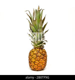 Ananas di frutta tropicale su sfondo bianco. Foto Stock