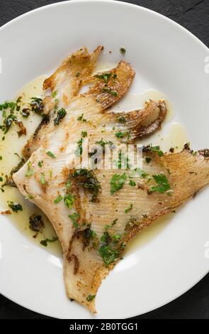 Un'ala di raggio da un raggio del torace, Raja clavata, che è stata cucinata in un modo tradizionale. È stato fritto in una padella di rame con olio d'oliva, burro Foto Stock