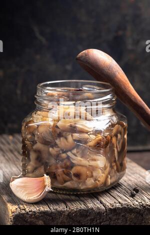 Vaso di vetro con funghi di foresta sottaceti fatti in casa, agarici al miele, cucchiaio di legno e aglio su vecchia tavola di legno sullo sfondo scuro. Cibo fermentato. Sostenibilità Foto Stock