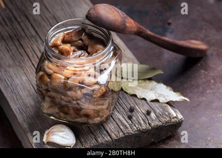 Vaso di vetro con funghi di foresta sottaceti fatti in casa, miele agarici, cucchiaio di legno e spezie su vecchio pannello di legno sullo sfondo di metallo arrugginito. Fermentato sano Foto Stock