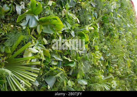 Foglie verdi muro, strada decorazione ambientale, salvare il pianeta Foto Stock