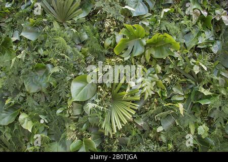 Foglie verdi muro, strada decorazione ambientale, salvare il pianeta Foto Stock