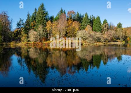 Riflessioni Autunnali In Penicuik High Pond, Penicuik Estate, Midlothian, Scozia, Regno Unito Foto Stock