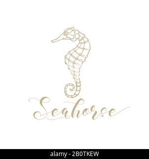 Logo vettore Seahorse per negozio di pesce e negozio di pesce. Cavalluccio marino marino e stelle marine di alta qualità con calligrafia dorata in disegno a linee sottili e stile a matita da cova Illustrazione Vettoriale