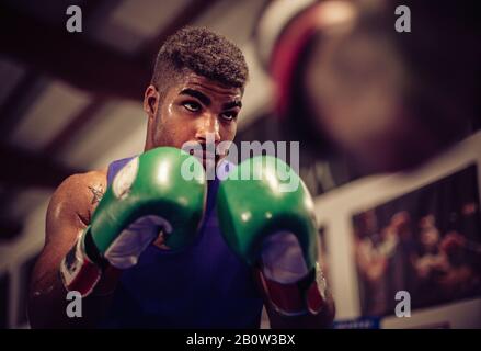 Primo piano di boxer maschio indossando guanti da boxe verdi. Foto Stock