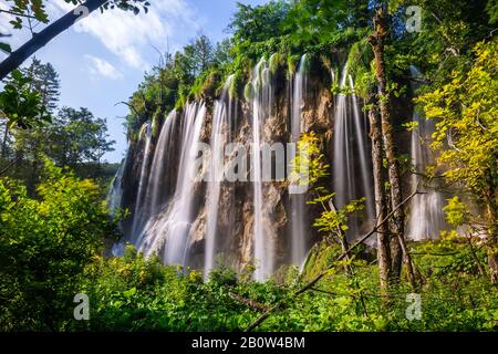 Diverse cascate di uno dei luoghi più sorprendenti del mondo ai laghi di Plitvice, Croazia. Un pezzo di natura veramente vergine e meravigliosa. Foto Stock