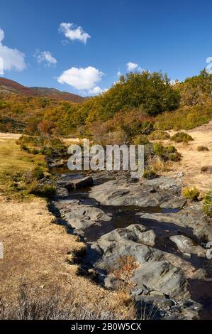 Fiume Lillas in autunno a Hayedo de Tejera Negra (Parque Natural Sierra Norte de Guadalajara, Cantalojas, Guadalajara, Castilla-la Mancha, Spagna) Foto Stock