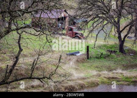 Vecchio camion arrugginito accoccolato tra gli alberi Foto Stock