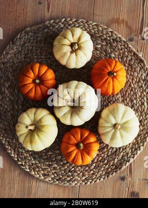 Alto angolo di chiusura di una selezione di zucche bianche e arancioni su tappeto rustico posto. Foto Stock
