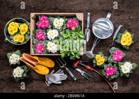 Giardinaggio Attrezzi E Vasi Di Fiori Pronti Per Essere Piantati In Giardino Foto Stock