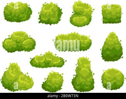Cespuglio giardino. Verde giardino vegetazione cespugli. Cespugli di cartone animato per decorare il set di vettori di paesaggio Illustrazione Vettoriale