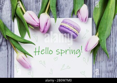 Ciao primavera scheda. Fiori rosa primavera tulipani, macaron viola e foglio bianco su sfondo grigio di legno. Vista dall'alto Foto Stock