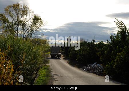 Cargo vecchio camion che attraversa il percorso, pieno di scatole di arance dopo aver ottenuto la raccolta Foto Stock