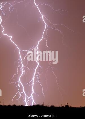 Un paio di fulmini imponenti colpisce vicino a una casa ad Arlington Arizona durante la stagione 2008 Monsoon. Foto Stock