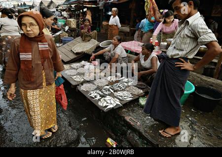 Stalla di pesce al mercato del pesce di Sittwe, Stato di Rakhine, Myanmar Foto Stock