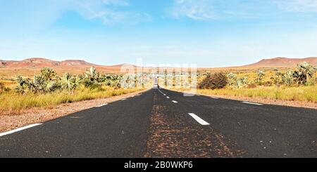 Strada che porta da Ranohira alla città Ilakaka, piccoli cespugli e palme sui lati, colline in lontananza - tipico paesaggio del Madagascar Foto Stock