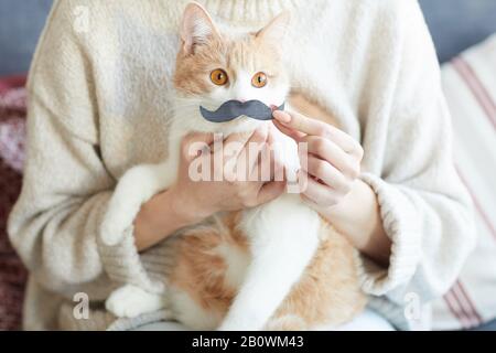 Primo piano della donna che tiene carta con baffi disegnati davanti alla bocca del gatto mentre la sua seduta sulle ginocchia Foto Stock