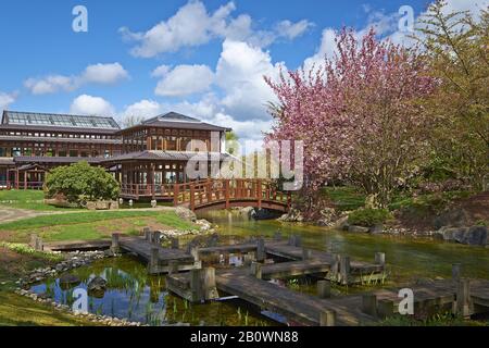 Giardino Giapponese A Bad Langensalzza, Turingia, Germania, Europa Foto Stock