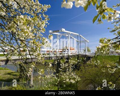 Hogendiekbrücke A Steinkirchen, Altes Land, Landkreis Stade, Bassa Sassonia, Germania, Europa Foto Stock