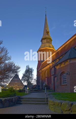 Chiesa di San Martini e Nicolai a Steinkirchen, Altes Land, Stade, Bassa Sassonia, Germania, Europa Foto Stock