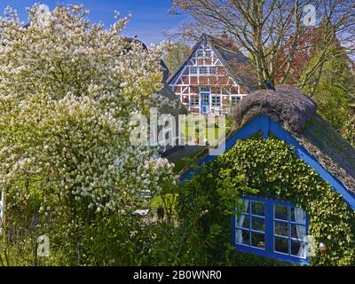 Altländer casa a graticcio a Steinkirchen, Altes Land, quartiere di Stade, Bassa Sassonia, Germania, Europa Foto Stock