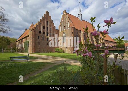 Kloster Wienhausen Bei Celle, Landkreis Celle, Bassa Sassonia, Germania, Europa Foto Stock