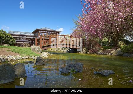 Giardino Giapponese A Bad Langensalzza, Turingia, Germania, Europa Foto Stock