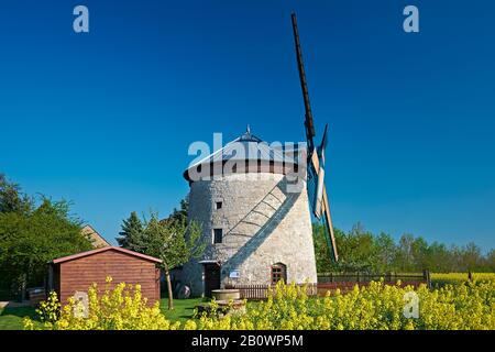 Mulino a torre Erna a Immenrode, Kyffhäuserkreis, Turingia, Germania, Europa Foto Stock