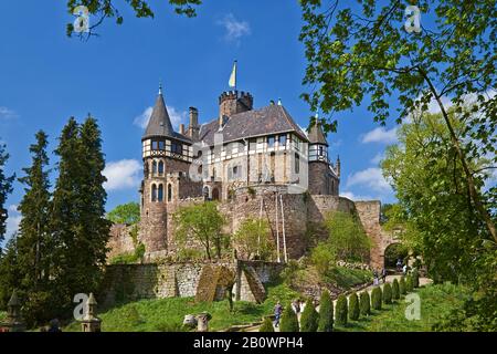 Castello Di Berlepsch Vicino A Witzenhausen, Distretto Di Goettingen, Hesse, Germania, Europa Foto Stock