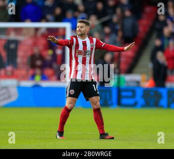 9th Febbraio 2020, Bramall Lane, Sheffield, Inghilterra; Premier League, Sheffield United contro Bournemouth : Oliver Norwood (16) di Sheffield United cerca di calmare le cose Foto Stock