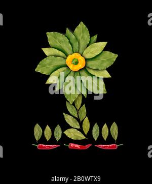 set decorativo di spezie e legumi su sfondo nero Foto Stock