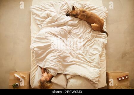 Vista ad alto angolo della giovane donna che dorme a letto con il suo cane nella camera da letto di casa Foto Stock