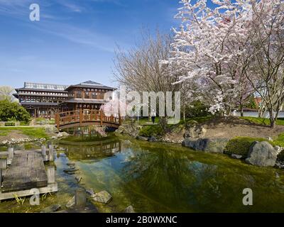 Giardino Giapponese A Bad Langensalzza, Turingia, Germania, Europa Foto Stock