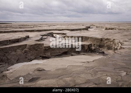 Zelazny Most - il più grande serbatoio di schiuma (diga di recupero delle miniere di rame) in Europa, Rudna / Polonia. Foto Stock