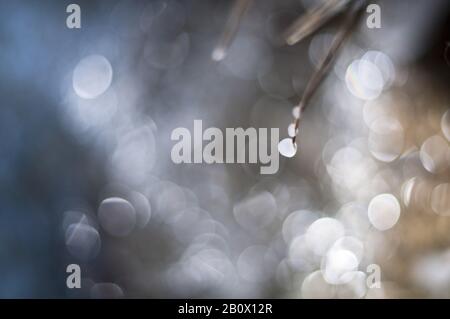 Cade su una lama di erba, Foto Stock