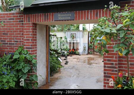 Ingresso, Giant Houseplant Takeover, Glasshouse, Rhs Garden Wisley, Woking, Surrey, Inghilterra, Gran Bretagna, Regno Unito, Regno Unito, Europa Foto Stock