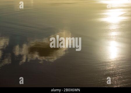 Nuvole riflesse su una spiaggia di sabbia bagnata con bassa marea. Dorset Inghilterra GB Foto Stock