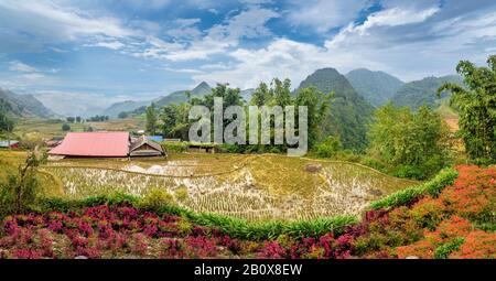 Paesaggio con fattoria e campo di riso in Vietnam Foto Stock