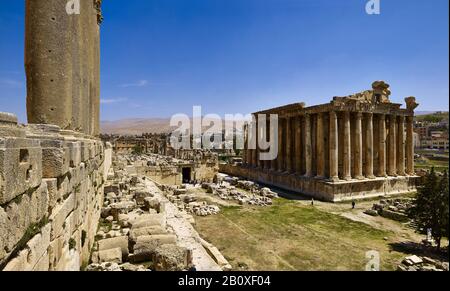 Tempio di Bacco nell'antica città di Baalbek, Libano, Foto Stock
