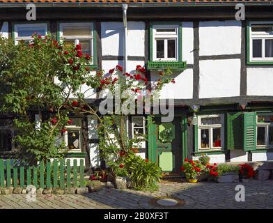 Casa artigiana a Grauen Hof, Halberstadt, Sassonia-Anhalt, Germania, Foto Stock