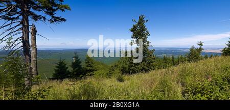 Vista dall'Inselsberg alla Foresta Turingia, Turingia, Germania, Foto Stock