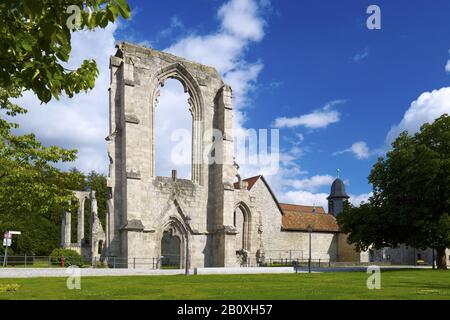 Monastero Walkenried con rovina della chiesa, Walkenried, Bassa Sassonia, Germania, Foto Stock