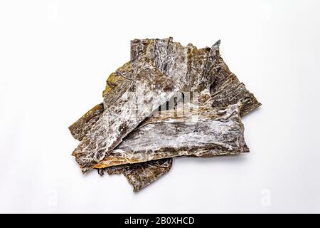 Laminaria japonica a secco（kelp）Isolata su fondo bianco. Kombu alghe, tradizionale ingrediente giapponese per cucinare la zuppa Dashi, copia spazio Foto Stock