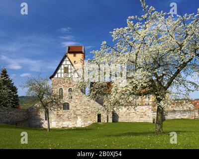 Basilica romanica di Breitungen Castello / Werra, Schmalkalden-Meiningen distretto, Turingia, Germania, Foto Stock