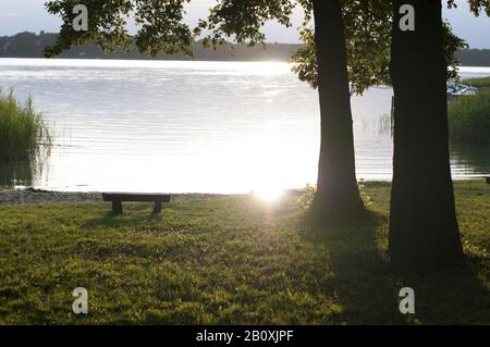 Storkower See, atmosfera serale al tramonto, Brandeburgo, Germania, Europa, Foto Stock