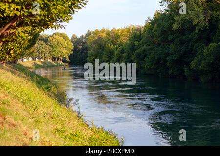 Natura del fiume Sile a Treviso Italia Foto Stock